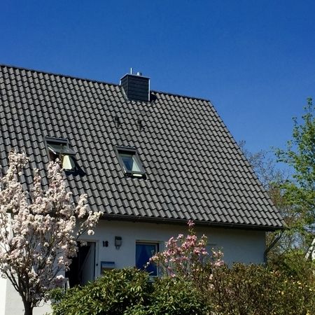 Steildach: Neubau, Wartung und Reparatur