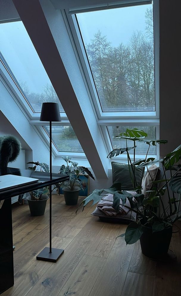 WhatsApp Image 2025-01-21 at 16.37.07